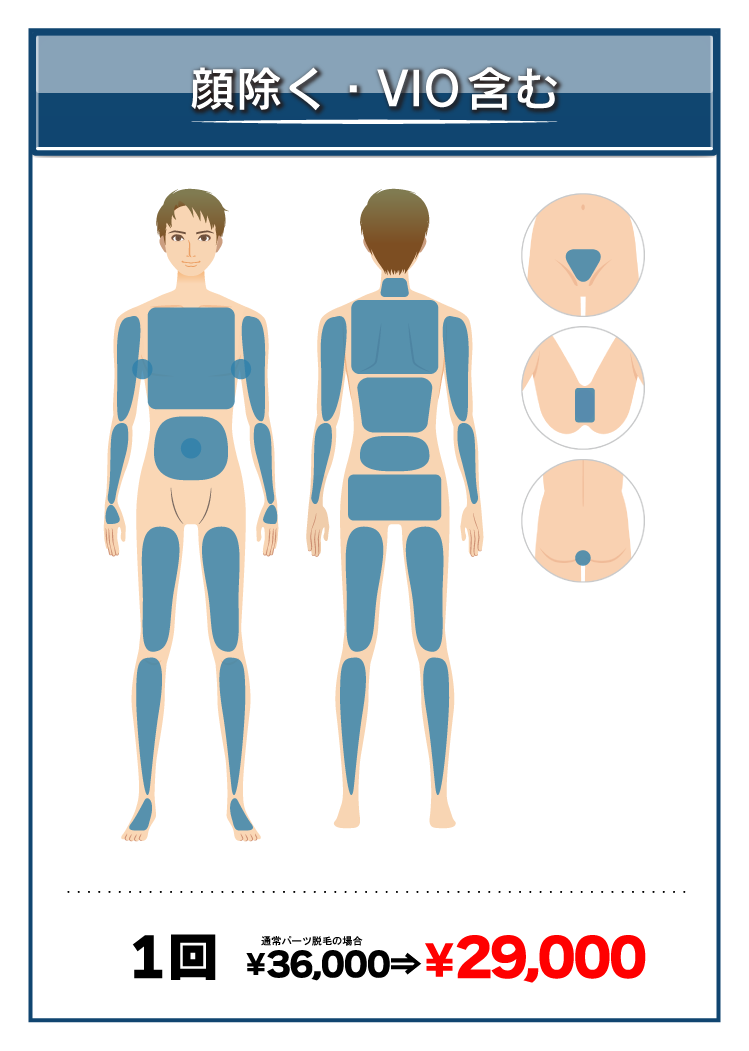 全身脱毛のサービス